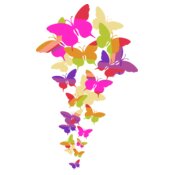 Colourful butterflies 2