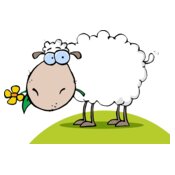 Sheep with flower on green hill