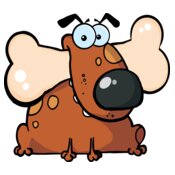 Brown dog with bone