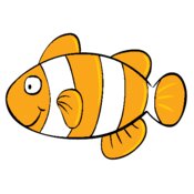 Orange white stripe fish