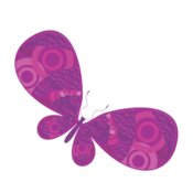 Purple pink butterfly