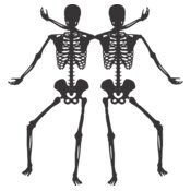 Skeleton buddies