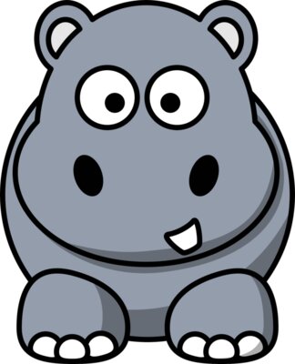 Grey Hippopotamus