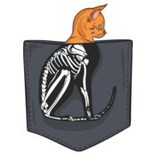 Cat skeleton pocket