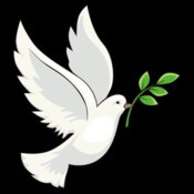 Peace dove olive branch