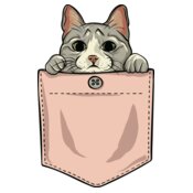Cute cat pocket